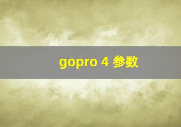 gopro 4 参数